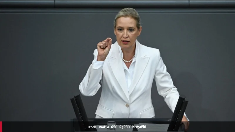 نگرانی مهاجران افغان در جرمنی از مواضع حزب AfD درباره مهاجرت