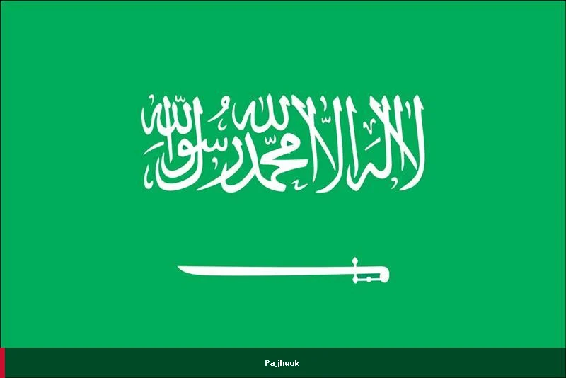 سعودی عربستان از انهدام پنج په‌پیلوت الوتکه خبر داد