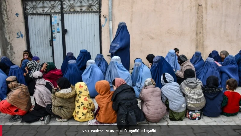 د جنسیتي اپارتاید نړیوال جرم په توګه د پیژندلو هڅې پرمختګ کوي