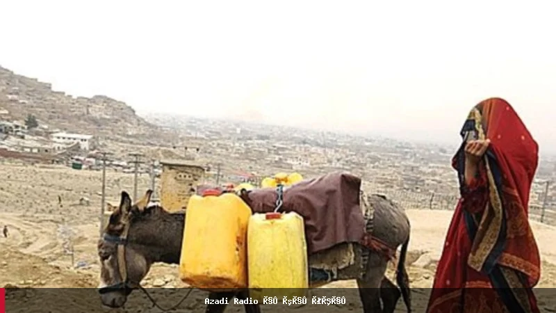 زنان سرپرست خانواده در افغانستان با چالش‌های فقر و بیکاری مواجه‌اند