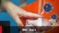 آیا شستن گوشت مرغ قبل از پخت ضروری است؟