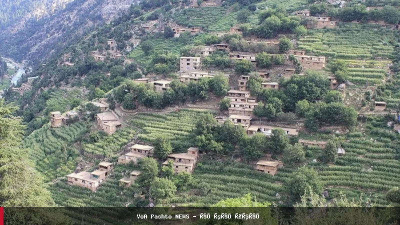پاکستان: در نورستان از مخالفان طالبان حمایت نکرده‌ایم