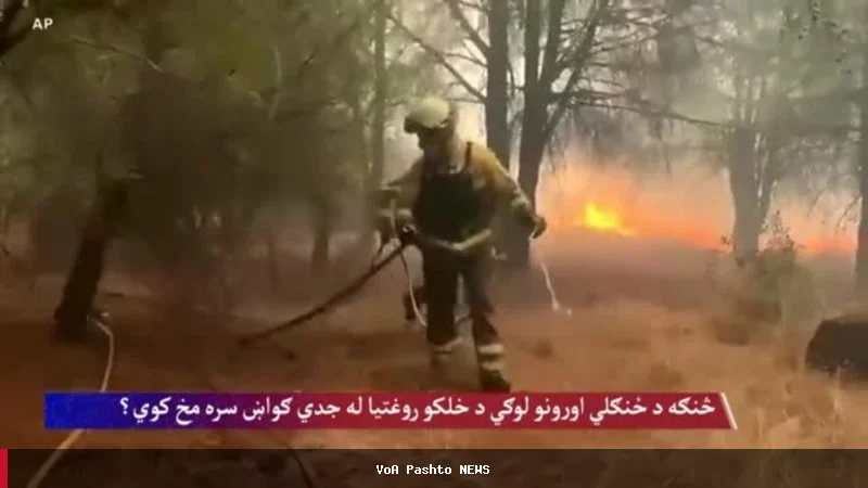 د ځنګلي اورونو لوګي او د خلکو روغتیا ته خطرونه
