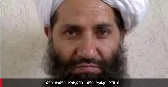 ملا هبت‌الله: علما و مقامات باید برای تقویت نظام طالبان همکاری کنند