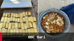 یافتن گنجینه‌ای طلا به ارزش ۹ میلیون یورو در بلژیک