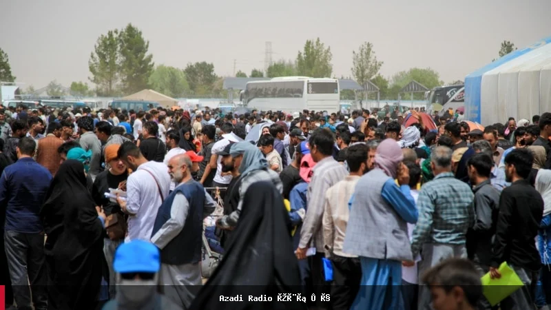 سازمان هانا: وضعیت پناهجویان افغان در ایران نگران‌کننده است
