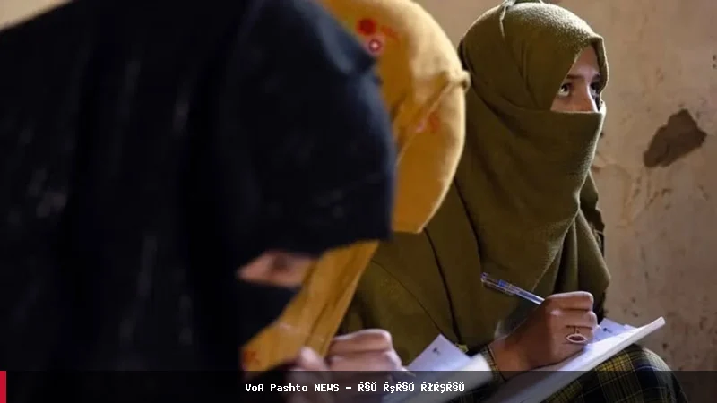 فعالان حقوق زنان افغان: زنان و دختران نسل جدیدی از فرصت‌ها را از دست می‌دهند