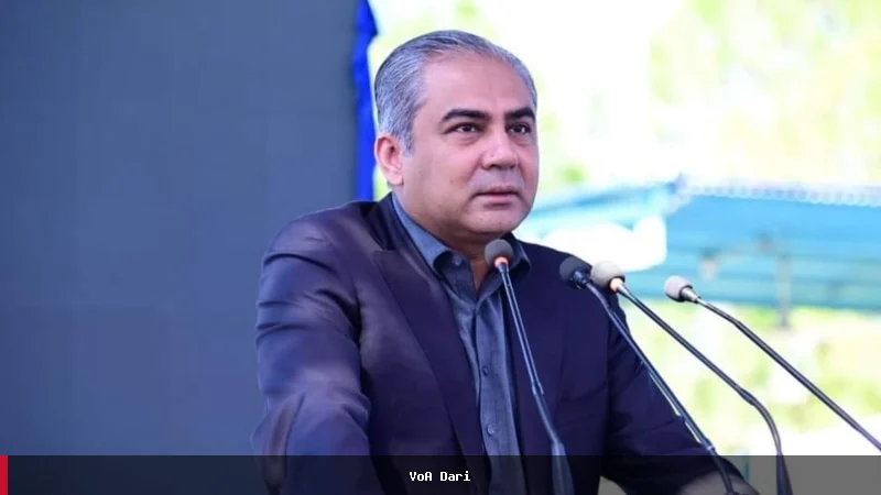 وزیر داخلۀ پاکستان: ورود بیشتر تروریستان از افغانستان به کشور