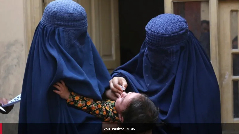 افغانستان کې د پولیو د له منځه وړلو او واکسین پروګرامونو پراخیدو غوښتنه