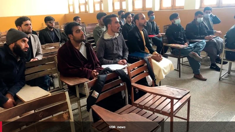 کاهش ۳۰ درصدی شمولیت مردان در دانشگاه‌های افغانستان تا سال ۲۰۲۶