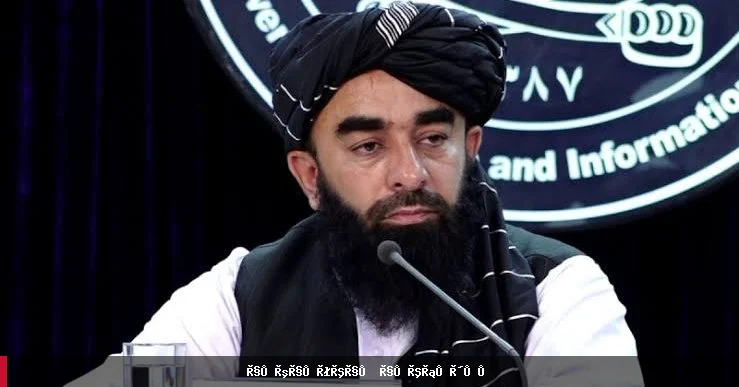 طالبان در سال ۱۴۴۷ هجری، دو میلیون شناسنامه الکترونیکی و یک میلیون شناسنامه کاغذی توزیع کردند