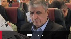 ممانعت از ورود رئیس سازمان انرژی اتمی ایران به وین به دلیل فشارهای آمریکا