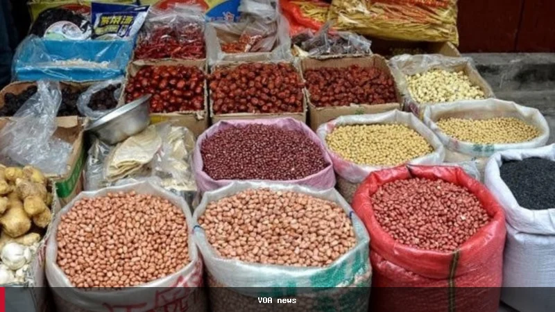 برنامه جهانی غذا: افزایش ارزش افغانی نتوانسته بهای مواد غذایی را کاهش دهد