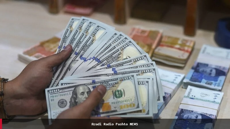 طالبان در هرات فردی را به اتهام قاچاق ۵۸۰ هزار دلار به ایران بازداشت کردند
