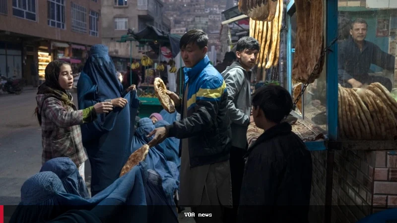 شورای پناهندگان ناروی: جامعه جهانی از کمک به غیرنظامیان افغان غافل شده است