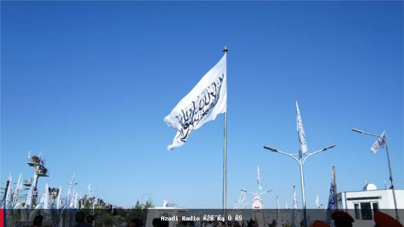 هیئت تخنیکی طالبان به جرمنی برای همکاری در انتقال افغان‌ها سفر کرد