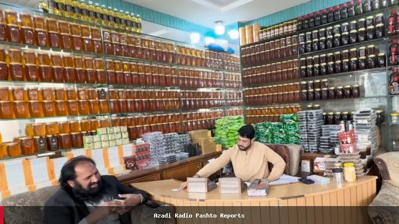 بندش راه‌های افغانستان و پاکستان به صنعت شاتوسازی آسیب جدی وارد کرده است