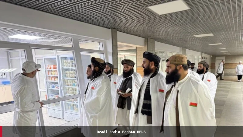 پلاوی از طالبان برای تنظیم امور قونسلی به آلمان سفر کرده است