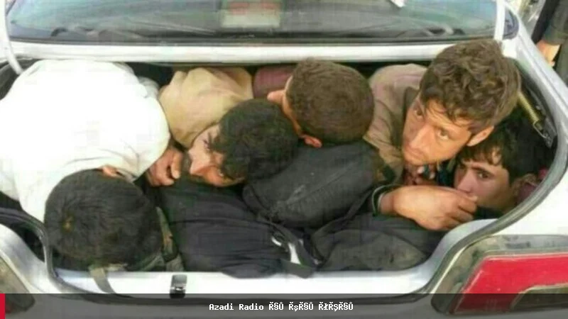 حال‌وش: هفت مهاجر افغان در یک رویداد ترافیکی در ایران جان باختند