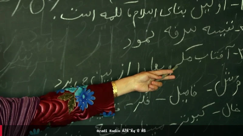 روز جهانی سوادآموزی در افغانستان: میلیون‌ها نفر از آموزش محروم‌اند