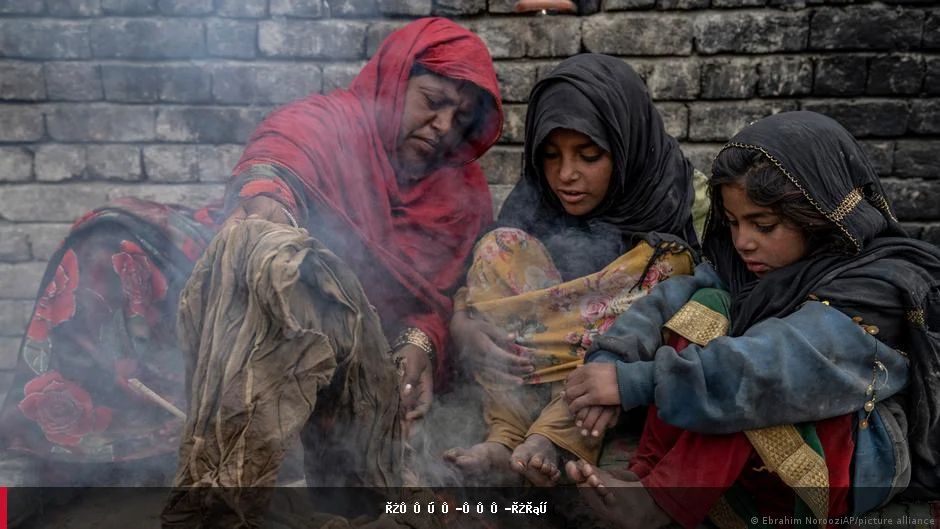 سازمان ملل: ۱۹.۲ میلیون افغان تا اپریل با گرسنگی حاد مواجه خواهند شد