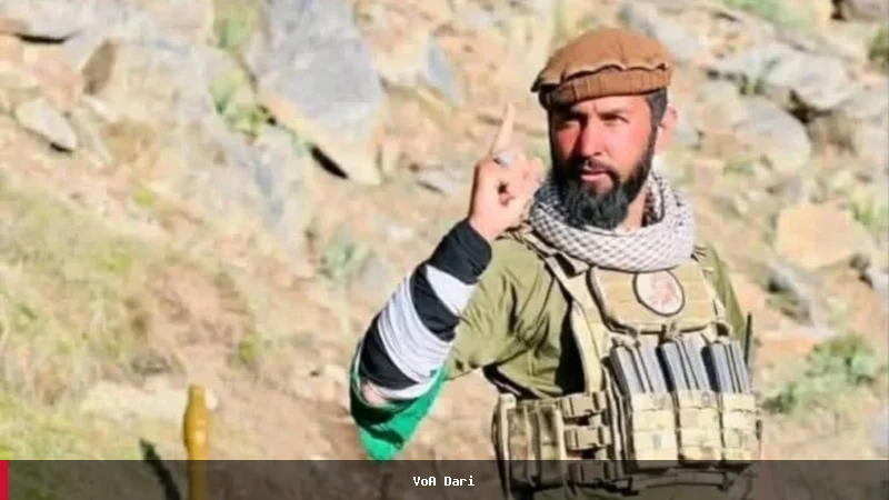 کشته شدن حسیب پنجشیری فرمانده جبههٔ مقاومت در افغانستان تایید شد