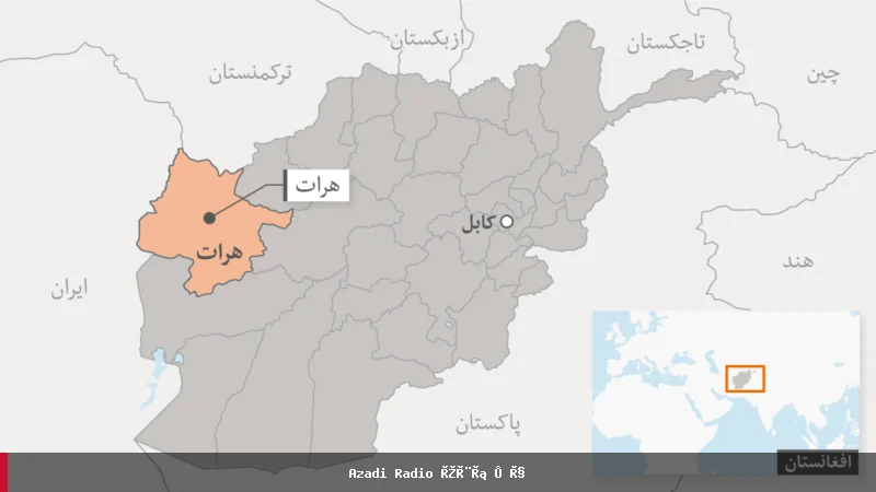 دستگیری یک مظنون به قاچاق ۵۸۰ هزار دالر به ایران در هرات