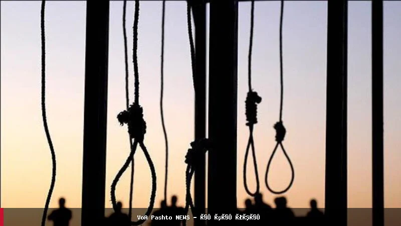 اعدام یک افغان به نام تورات محمدی در زندان کرج ایران