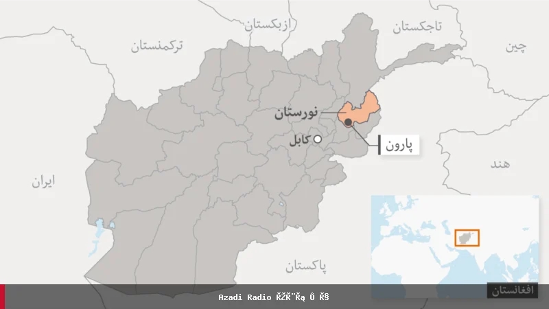 طالبان: در نورستان از مخالفین ۱۰ها میل سلاح و مهمات به دست آمده است