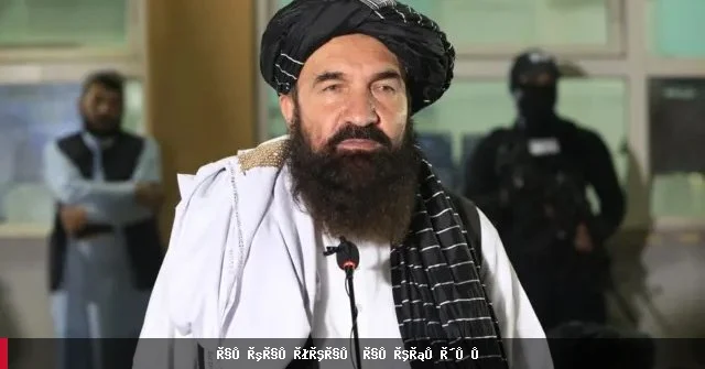خیرالله خیرخواه با شاه ولی کرزی در مورد آینده سیاسی طالبان گفتگو کرد