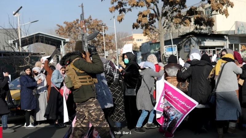 زنان افغانستان به خاطر شجاعت و مقاومت خود جایزه چتم هاوس ۲۰۲۶ را دریافت کردند