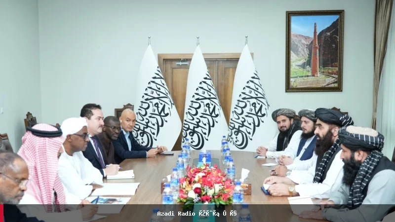 دیدار معاون سرمنشی سازمان همکاری اسلامی با وزیر خارجه طالبان در کابل