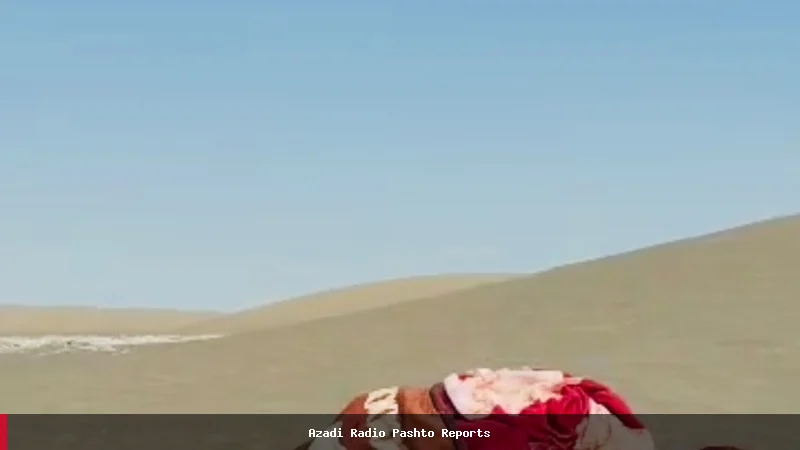 گزارش افغان‌های بازگشته از ایران: زندگی سخت و تلاش برای مهاجرت دوباره