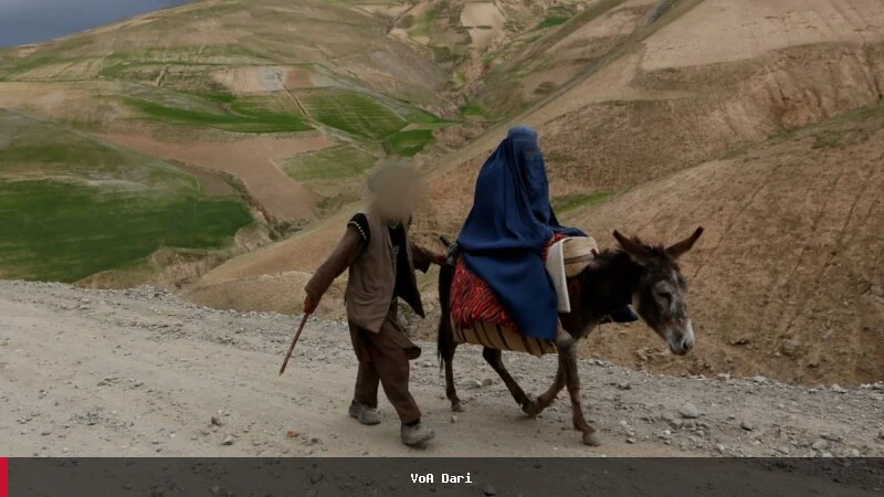 چالش‌های دسترسی به خدمات صحی برای زنان حامله در افغانستان