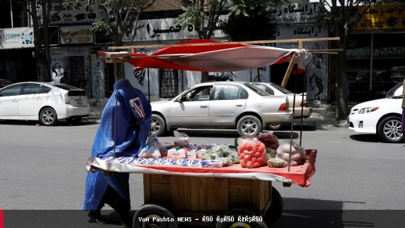 کاهش ۵.۱ درصدی سهم زنان در بازار کار افغانستان