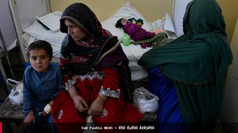 ۳.۷ میلیون کودک زیر پنج سال در افغانستان با سوء تغذیه مواجه هستند