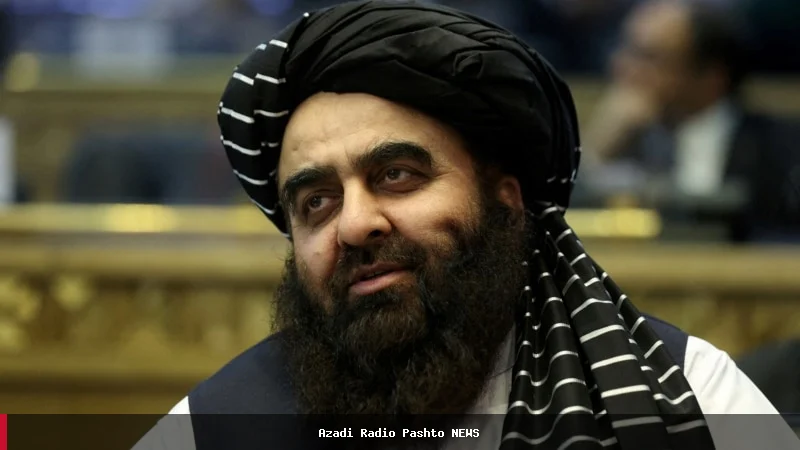 امیرخان متقی: تجربه‌های ناکام در افغانستان نباید تکرار شود
