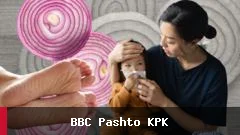 ادعای درمان زکام با پیاز خام در شبکه‌های اجتماعی