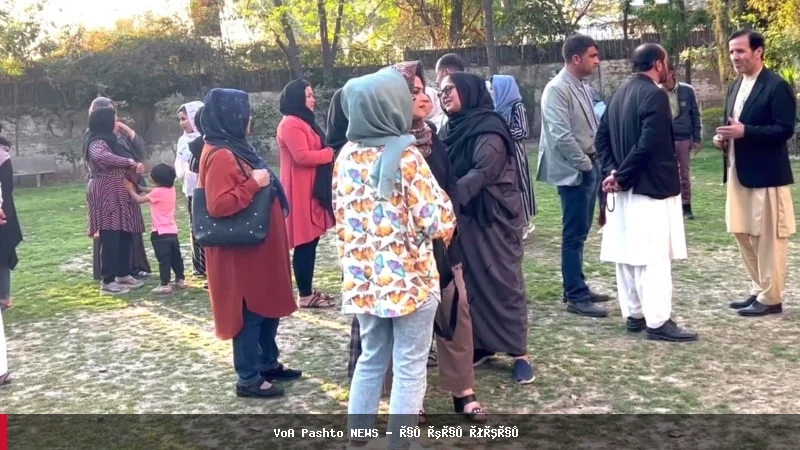 پاکستان، افغان محصلین را از تحصیل در رشته‌های پزشکی و دندانپزشکی محروم کرد