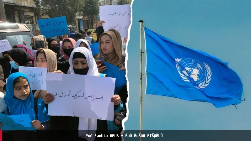 درخواست فعالان حقوق زنان برای تمرکز بر حقوق زنان افغان در تعامل با طالبان