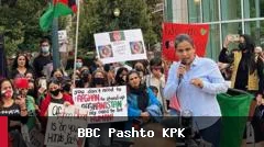 عایشه وهاب، نخستین افغان-آمریکایی، در انتخابات کنگره آمریکا پیروز شد