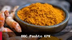 زردچوبه؛ ادویه‌ای با خواص سلامتی در غذاهای مختلف