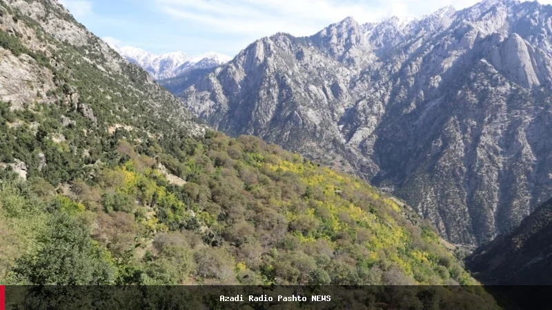 ادعای درگیری میان طالبان و جبهه آزادی در کامدېش نورستان