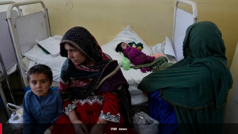 پیش‌بینی سازمان ملل: ۴۰ درصد مردم افغانستان در زمستان با ناامنی غذایی روبه‌رو خواهند شد